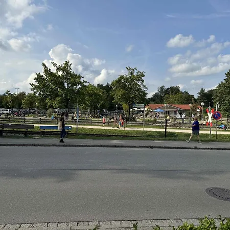 Schütz *